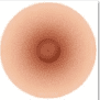 Light Brown Areolas