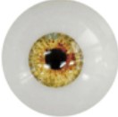 Yellow Eyes