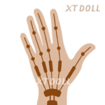 Articulated Fingers +$150.0